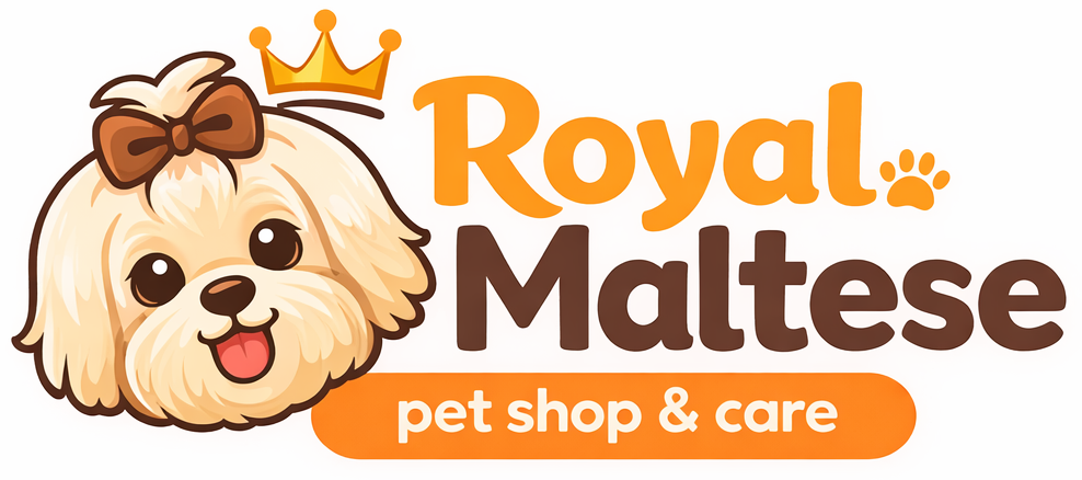 Royal Maltese – Premium Maltese Puppies & Breeding Excellence